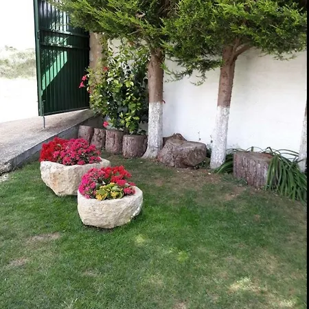 Flor Sintra