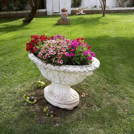 Nyaraló Flor Sintra