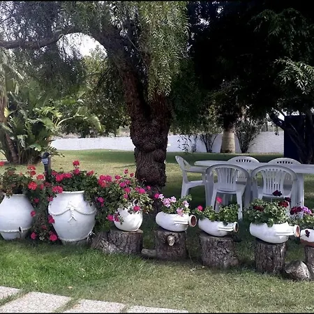Flor Sintra