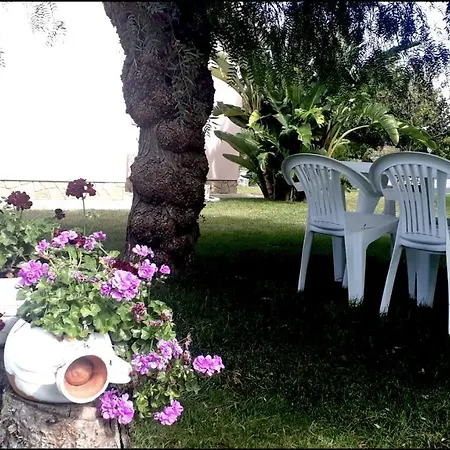 Flor